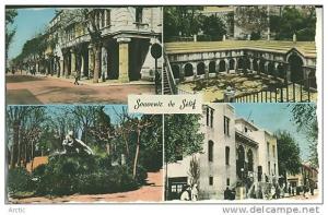 Souvenir de Setif