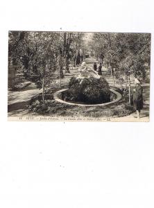 SETIF    LL  44  jardins d oléans  la grande allée et statue d aeis   carte neuve