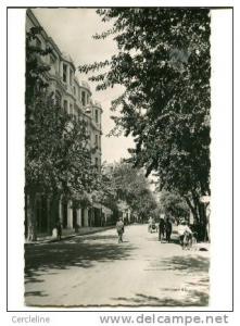 CPSM SETIF ALGERIE avenue G. CLEMENCEAU petite animation