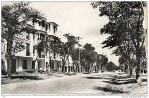 ALGERIE - SETIF -- Avenue Jean jaurès -  SM - Petit Format -