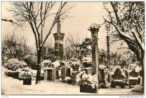 Algerie - SETIF l'hiver a SETIF jardins d'Orleans sous la neige N° 8