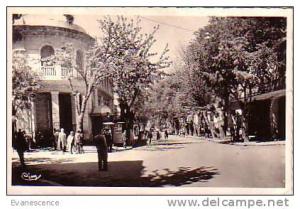 SETIF AVENUE G. CLEMENCEAU  REF4729