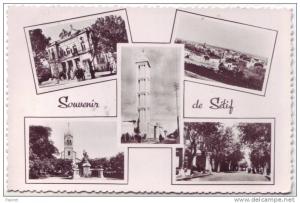 cpsm Algerie Souvenir de setif  . Multivu