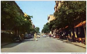 SETIF....AVENUE GEORGES CLEMENCEAU....CPSM PETIT FORMAT ANIMEE