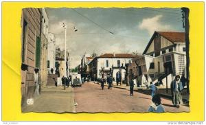 Afrique -   Algérie - Sétif - rue cardinal Lavigerie