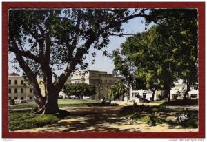 ALGERIE / ALGERIEN  Mostaganem   Le Jardin Public