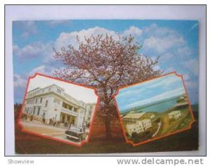 PEUGEOT403    MOSTAGANEM