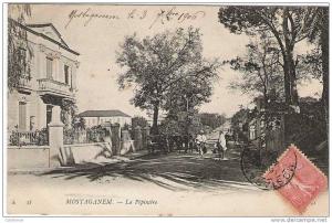 MOSTAGANEM    LA PEPINIERE