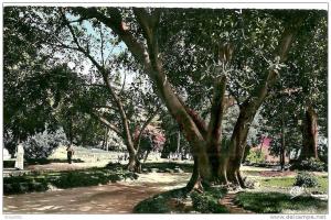 Afrique.Algérie.Villes. Mostaganem.