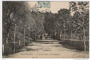 MOSTAGANEM  LE JARDIN PUBLIC ALLEE PRINCIPALE
