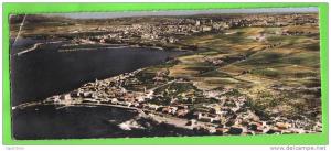 MOSTAGANEM - VUE AERIENNE - LA SALAMANDRE, SA PLAGE ( Dans les années 50 )- 220 X 90 mm