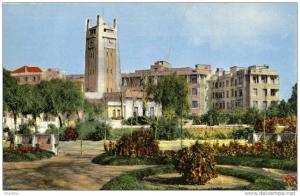 ALGERIE / ALGERIEN   MOSTAGANEM - Un coin des Jardins et L' Hotel de Ville