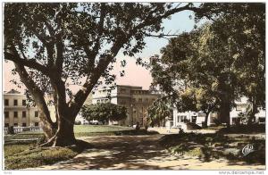 CPSM 9X14 . MOSTAGANEM . LE JARDIN PUBLIC