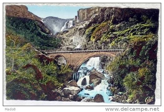 cpsm Tlemcen Algérie  - les Cascades de l'Oued Mefrouch el Ourit -