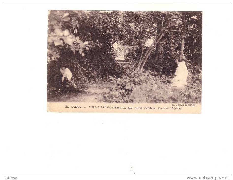 TLEMCEN    VILLA MARGUERITE  EL  KALAA