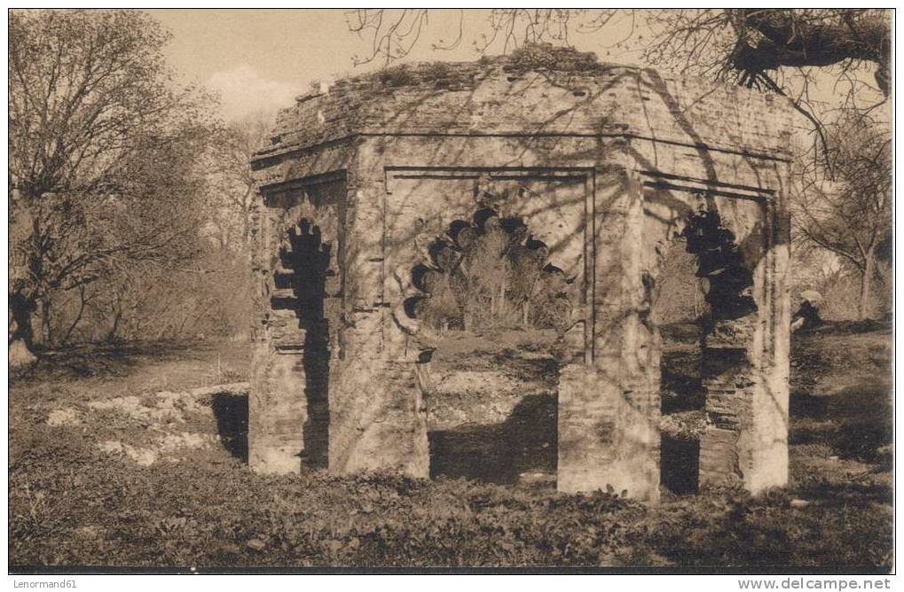 CPA TLEMCEN RUINES SIDI YACOUB