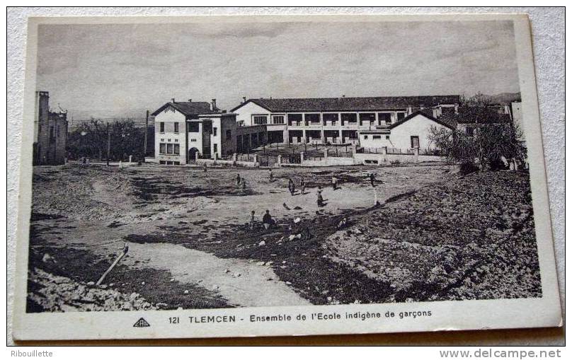 Algérie - CP N° M120 - Tlemcen - CPSM/N