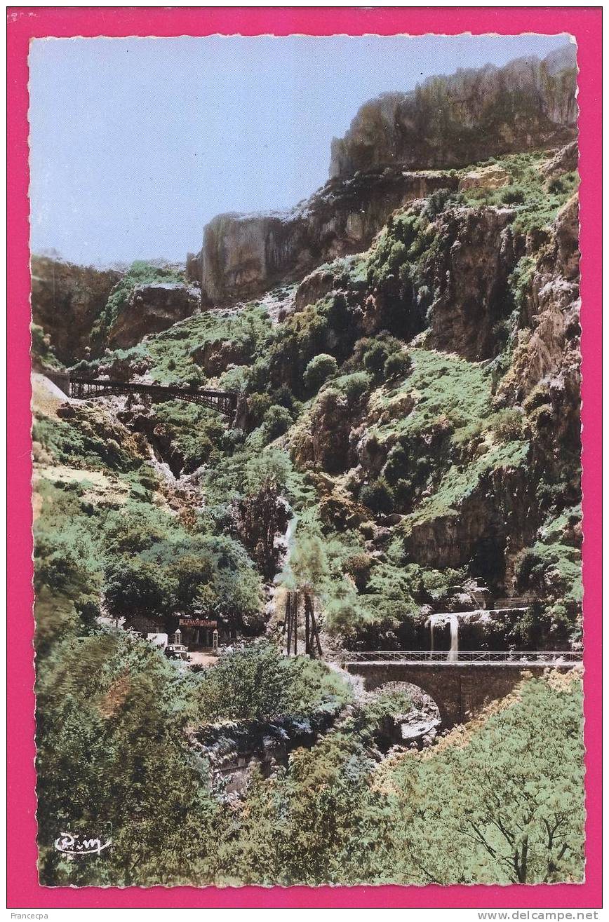 1812 - ALGERIE -  TLEMCEN - Les Cascades et Montagne D'EL-OURIT