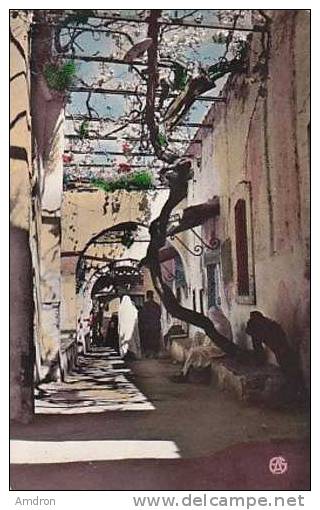 Tlemcen - Une rue dans le vieux Tlemcen