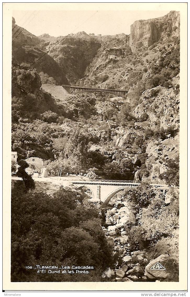 CPA - ALGERIE - TLEMCEN - Les cascades D'El Ourid et les ponts