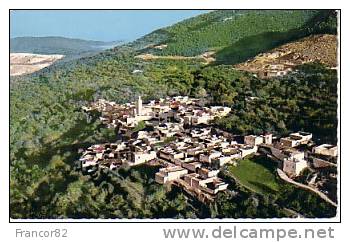 TLEMCEN  VUE GENERALE  SUR SIDI-BOU-MEDINE