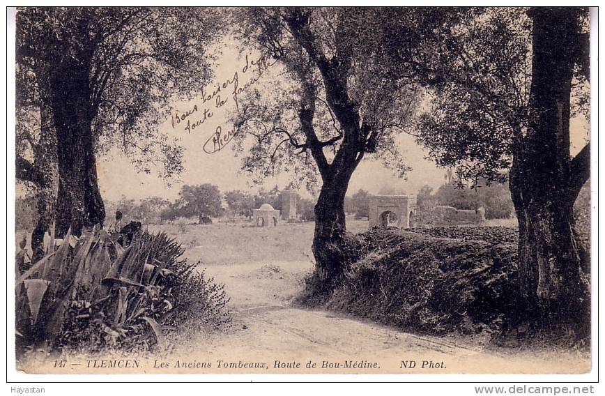 TLEMCEN - LES ANCIENS TOMBEAUX ROUTE DE BOU MEDINE