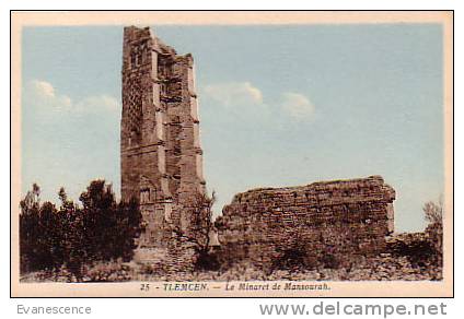 TLEMCEN LE MINARET DEMANSOURAH REF3936