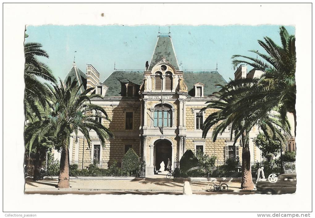 cp, Algérie, Sidi-Bel-Abbès, L'Hôtel de Ville