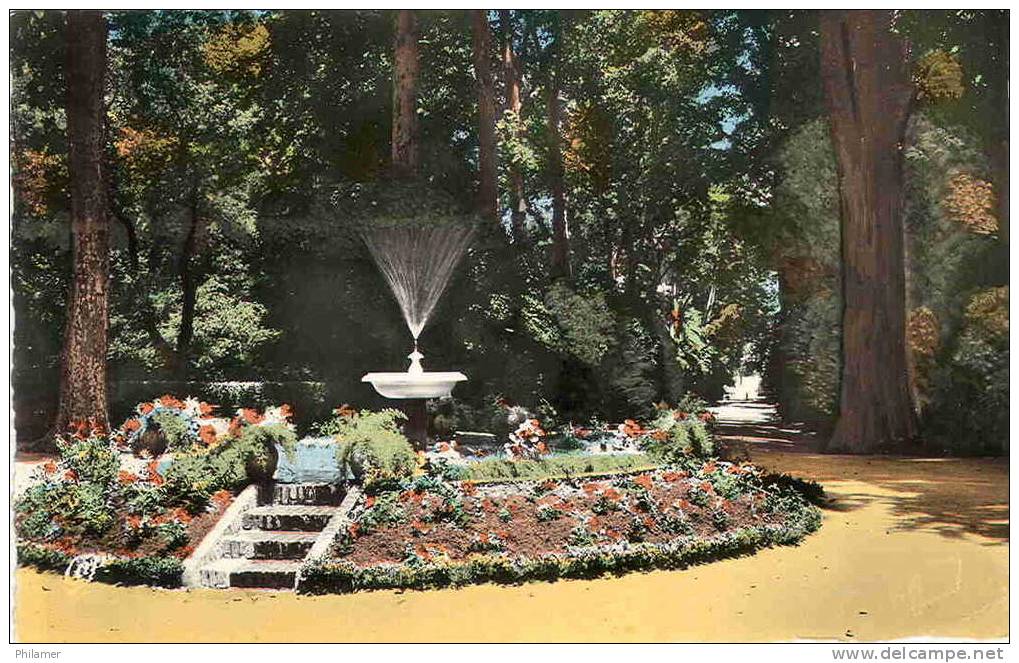 algerie carte postale sidi bel abbes jardin public allee fontaine fleur N°94  ut TBE