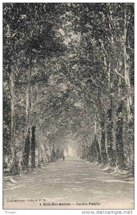 Algérie.Sidi Bel Abbés.Jardin public ( Ideal P S 4 ).
