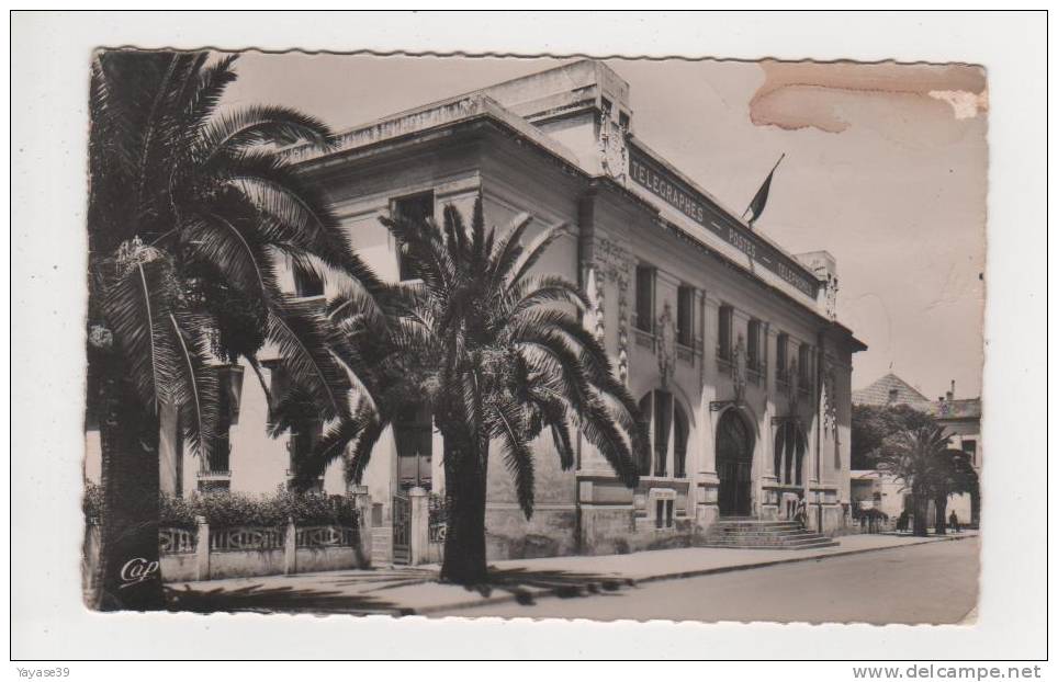 Algérie Sidi Bel Abbès N° 98 la Poste carte dentelée écrite en 1954