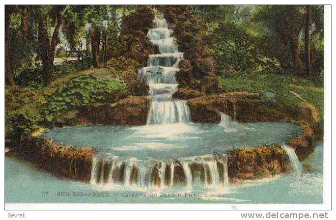 SIDI BEL ABBES. - Cascade du Jardin Public.