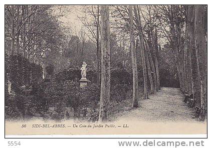 cpa   afrique  algerie   sidi bel abbes    jardin public