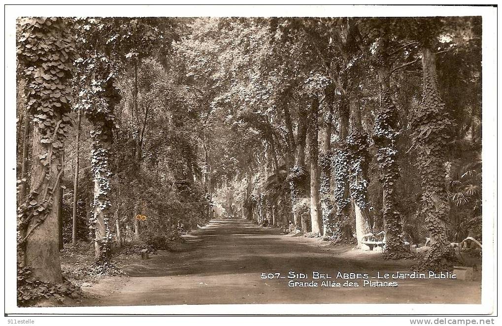 Sidi-bel-abbes  . le jardin public