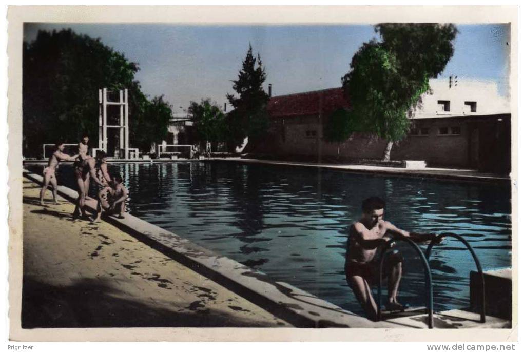 ALGERIE   SIDI BEL ABBES ( Oran )  LA PISCINE