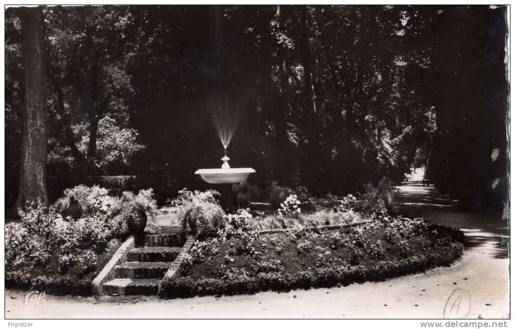 ALGERIE   SIDI BEL ABBES   LE  JARDIN PUBLIC   L ' ALLEE PRINCIPALE          see Discription
