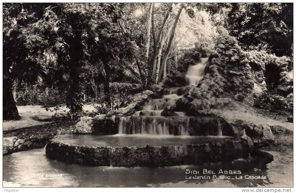 ALGERIE   SIDI BEL ABBES   LE  JARDIN PUBLIC   L a Cascade          see Discription