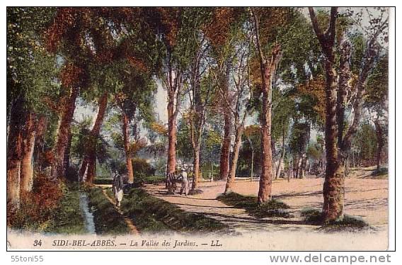 Sidi Bel Abbes    Old Post card