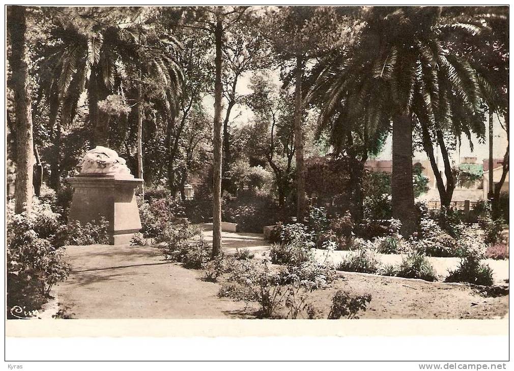 CPSM 9X14 .  SIDI BEL ABBES . STATUE  LA CHUTE D' ICARE