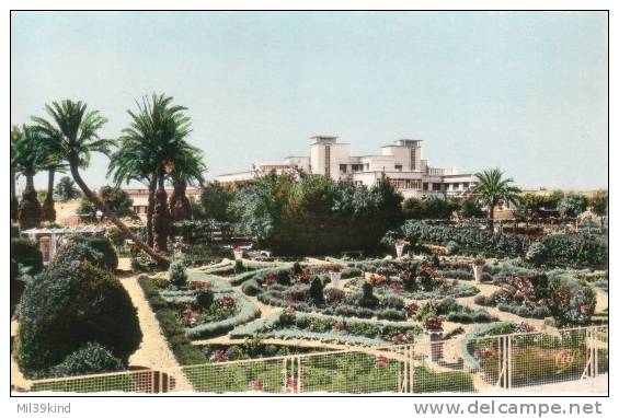 ALGERIE - Sidi Bel Abbes - HOPITAL