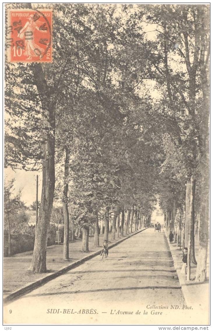 CPA Algérie - 9. SIDI-BEL-ABBES - L'Avenue de la Gare - ND Phot
