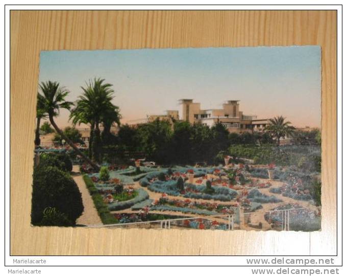 lot 48 -   algérie  sidi bel abbes le nouvel hopital