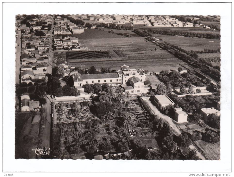 Sidi-Bel-Abbès             Vue aérienne sur l'Ecole Sonis et Rue Macé
