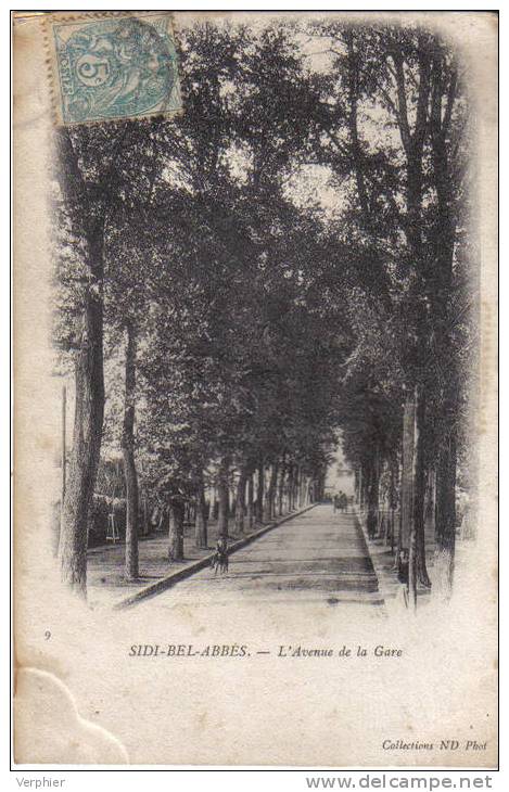 CPA ALGERIE - SIDI BEL ABBES - N°9 L'AVENUE DE LA GARE