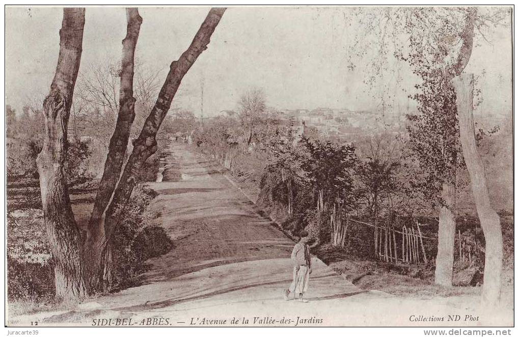 Sidi-Bel-Abbès.L'Avenue de la Vallée-des-Jardins.1906