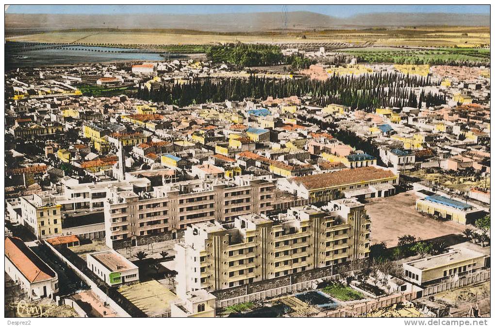 SIDI BEL ABBES cpsm Vue Aérienne          Edit Combier