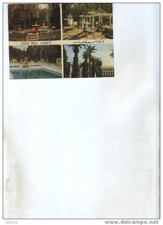 CP MODERNE ALGERIE SOUVENIR DE SIDI BEL ABBES