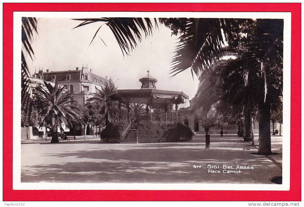 E-Algérie-76PH29 SIDI BEL ABBES, la place Carnot, le kiosque, type photo, BE