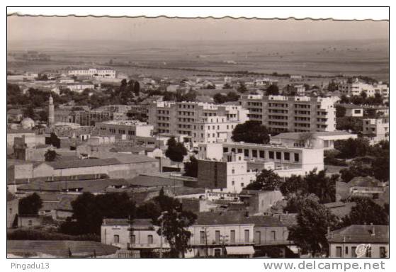 Sidi Bel Abbès Vue générale carte écrite le 5 Novembre 1954