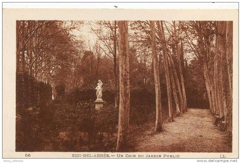 Algérie - Sidi Bel Abbès Un coin du Jardin Public n 56